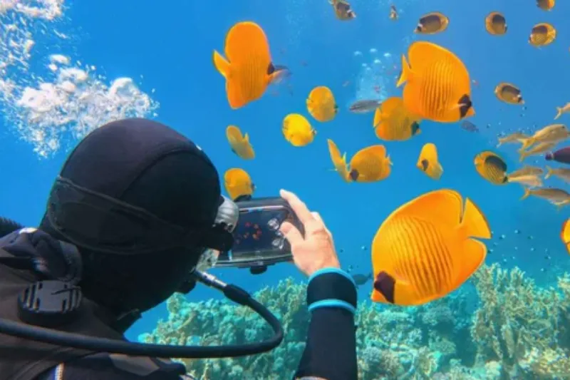 Vacanza Eclissi Egitto: Cairo, Crociera sul Nilo e Marsa Alam